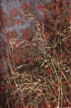 Fete by Judith Hilmer