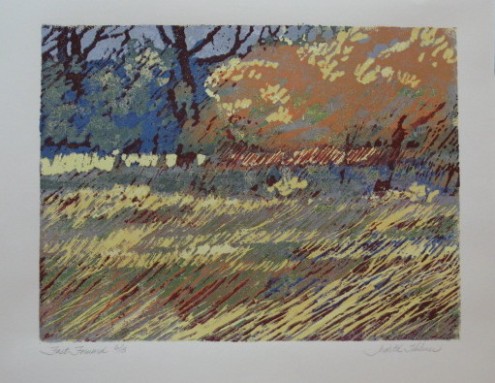 Fast Forward Darker Version, Block Print by Judith Hilmer