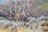 Sycamore Spring Oil Painting by Judith Hilmer