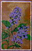 
Spring Song by Judith Hilmer
			