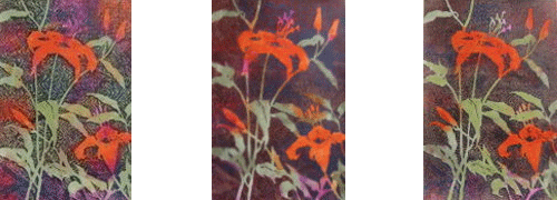 Tigress Lily Block Print by Judith Hilmer