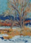 winter at franz lake oil painting by judith hilmer